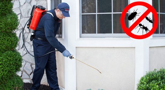 Karacasu Kene İlaçlama böcek ilaçlama ve haşere kontrolü — ilaclama-tr.com